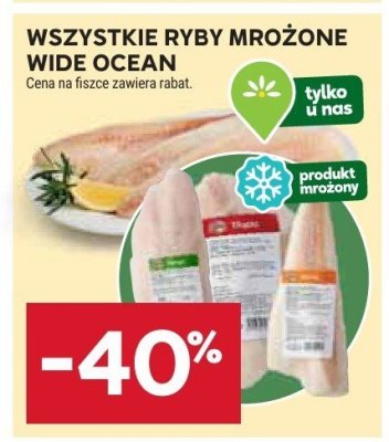 Ryby mrożone  promocja w Stokrotka