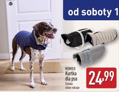 Kurtka dla psa Romeo promocja w Aldi