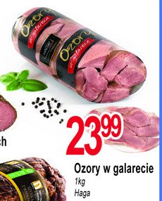 Ozory w galarecie Haga promocja