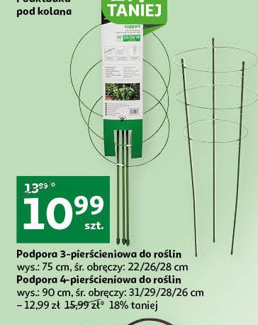Podpora pier艣cieniowa do ro艣lin 75 cm promocja