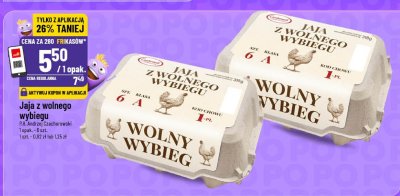 Jaja z wolnego wybiegu 8 szt. promocja w POLOmarket