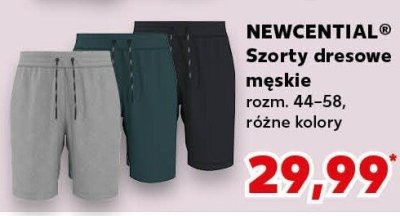 Szorty dresowe męskie różne kolory promocja w Kaufland