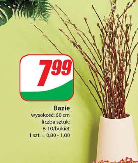 Bazie promocja