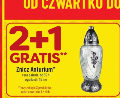 Znicz Anturium 2+1 GRATIS promocja w POLOmarket