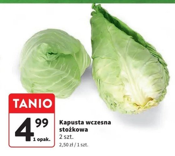 Kapusta stożkowa mini promocja