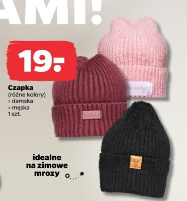 Czapka damska lub męska, różne kolory promocja w Netto