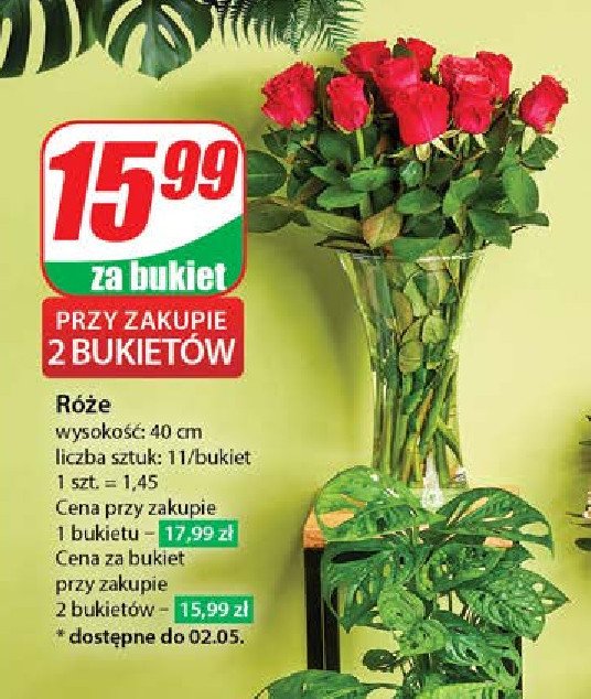 R贸偶a 40 cm promocja