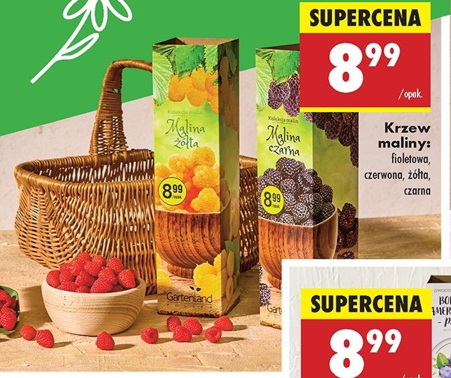 Malina żółta Gartenland promocja