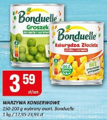 Groszek promocja w Chorten