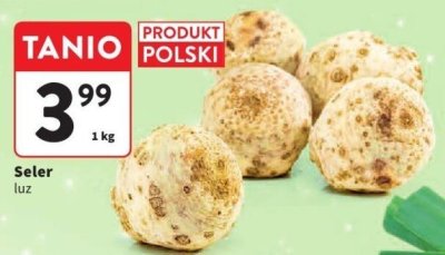 Seler promocja w Intermarche