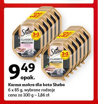 Karma dla kota z łosośiem Sheba classics promocja w Auchan