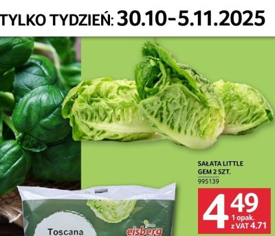 Sa艂ata promocja w Selgros