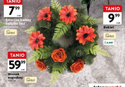 Bukiet Gollat promocja w Intermarche