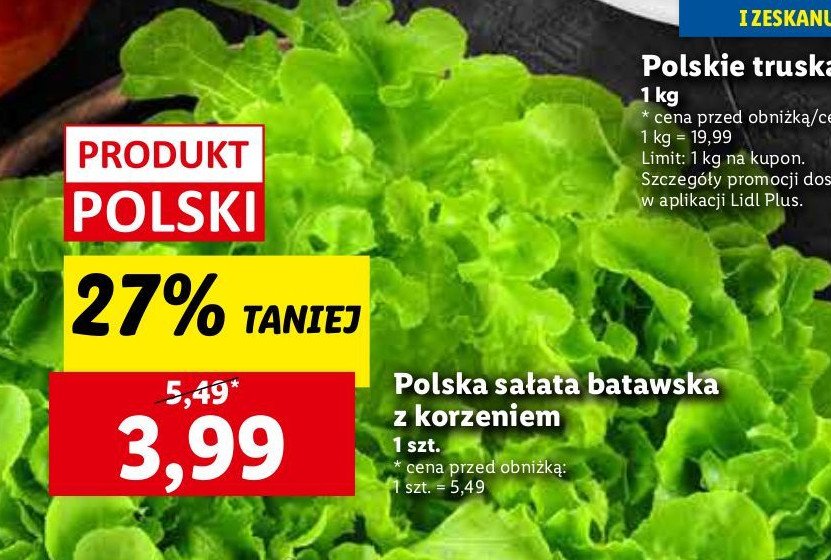 Sałata batawska promocja