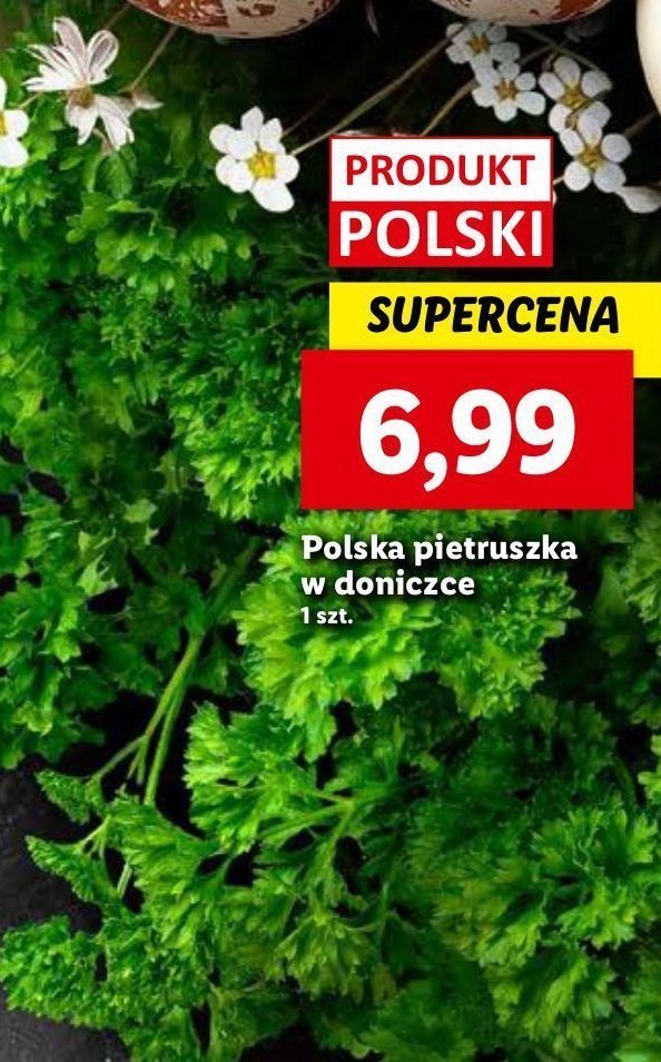 Pietruszka doniczka promocja