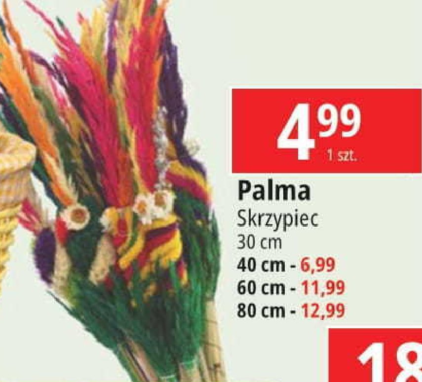 Palma 80 cm Skrzypiec promocja