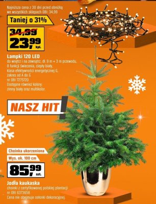 Lampki 120 LED do wnętrz i na zewnątrz, dl 9 m + 3 m przewodu, 8 funkcji świecenia, ciepły biały promocja w OBI