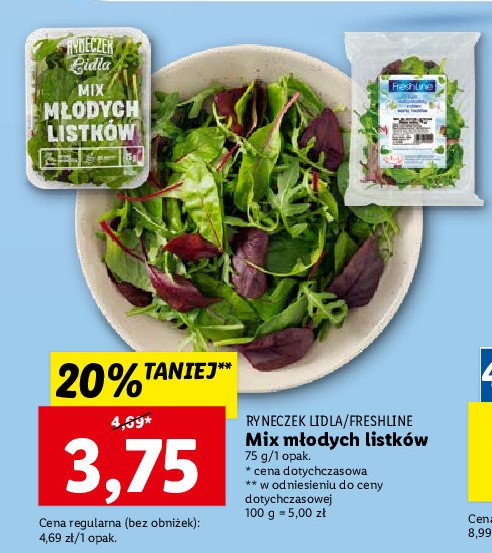 Mix m艂odych listk贸w Ryneczek lidla promocja