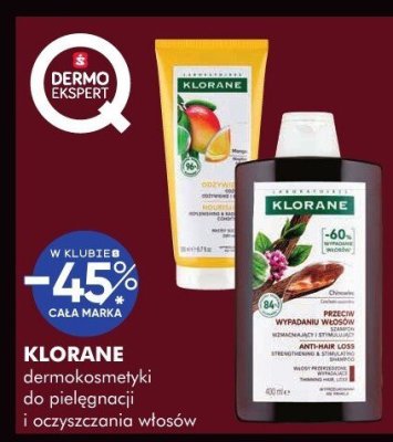 Szampon KLORANE dermokosmetyki do pielęgnacji i oczyszczania twarzy i oczyszczania włosów promocja w Super-Pharm
