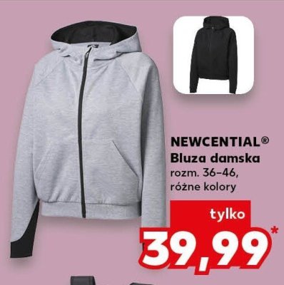 Bluza damska różne kolory promocja w Kaufland