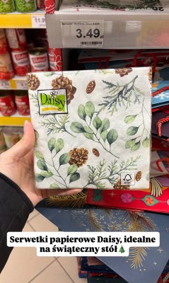 Serwetki papierowe 33x33cm 20 szt. promocja w Dino