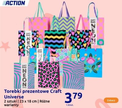 Torebki prezentowe Craft Universe 2 sztuki 23 x 18 cm różne warianty promocja w Action