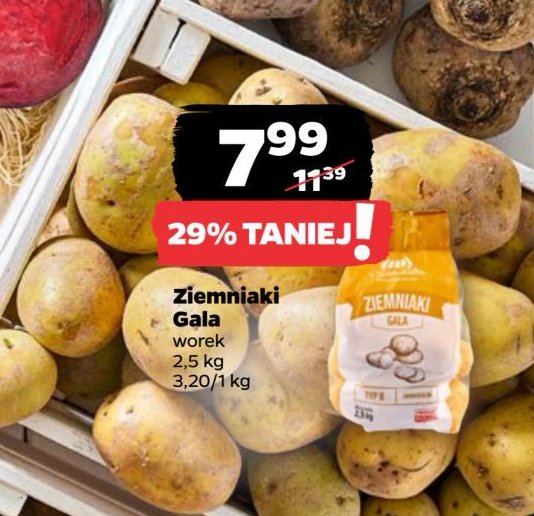 Ziemniaki gala promocja