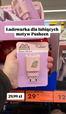 Ładowarka do telefonu Pusheen Adapter USB 20W promocja w Biedronka