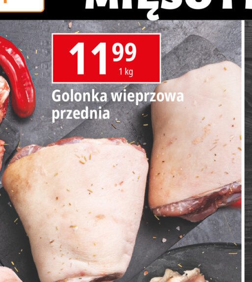 Golonka przednia promocja