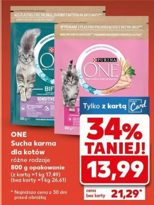 Sucha karma dla kotów różne rodzaje One promocja w Kaufland