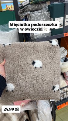Poduszka w owieczki promocja w Biedronka