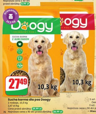 Sucha karma dla psa Doogy promocja w Dino