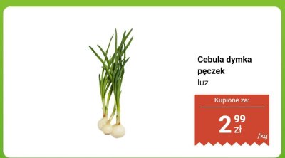 Cebula dymka pęczek luz Biedronka promocja w Biedronka