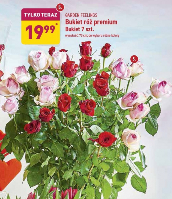Róże premium różowe bukiet Garden feelings promocja