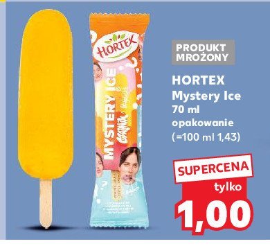 Lód czajnik Hortex mystery ice promocja