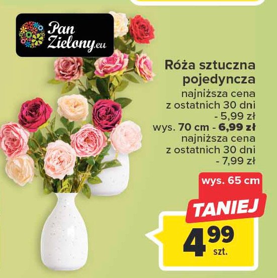 Róża 70 cm promocja