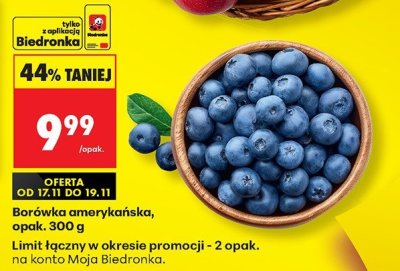 Borówka amerykańska promocja w Biedronka