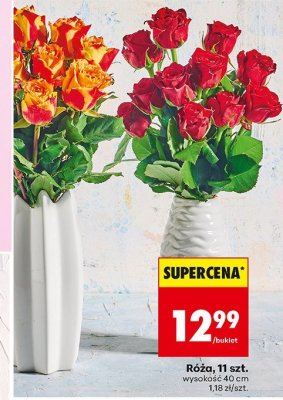 Róże bukiet 11 szt. promocja w Biedronka