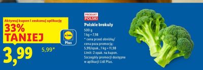 Brokuł polski  promocja w Lidl