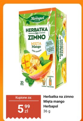 Herbatka na zimno Mięta mango Herbapol promocja w Dino
