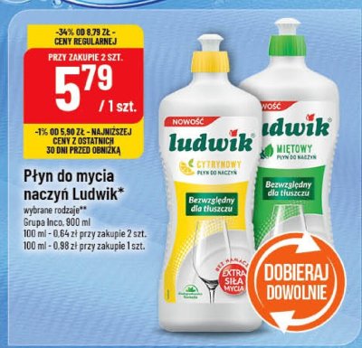 Płyn do mycia naczyń Ludwik promocja w POLOmarket