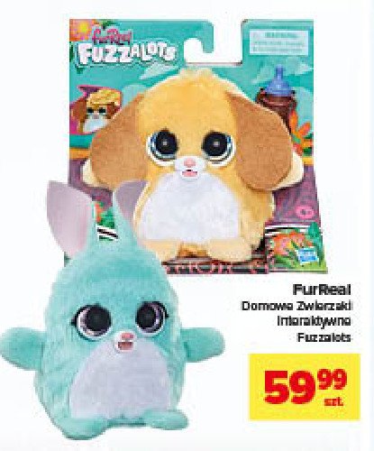 Kr贸lik fuzzalots furreal Hasbro promocja
