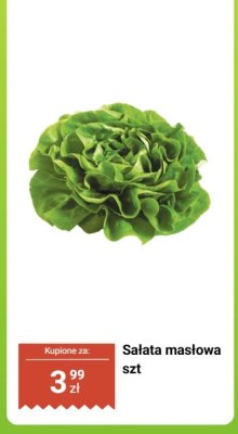 Sałata masłowa 1 szt. promocja w Dino