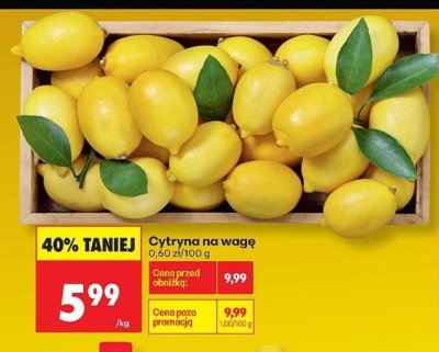 Cytryna na wagę promocja w Biedronka