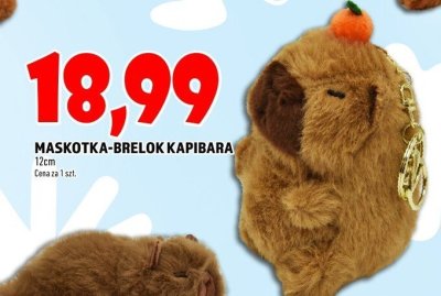 Maskotka promocja w TOPAZ
