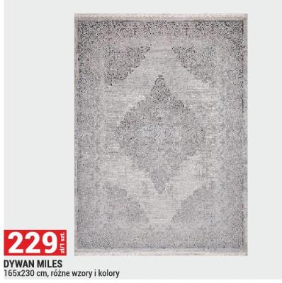Dywan MILES 165x230 cm promocja w Merkury Market