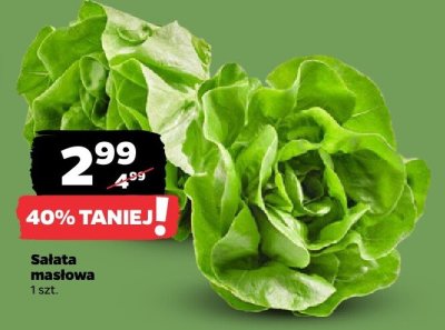 Sałata masłowa promocja w Netto
