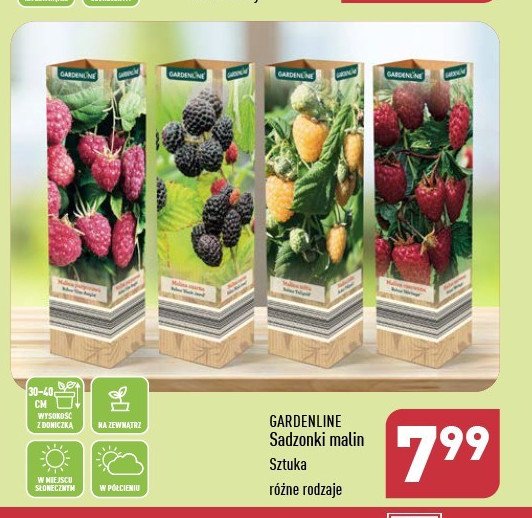Malina 偶贸艂ta GARDEN LINE promocja
