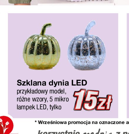Dynia szklana led promocja