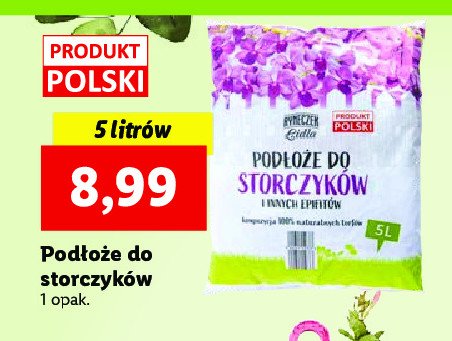Pod艂o偶e do storczyk贸w Ryneczek lidla promocja